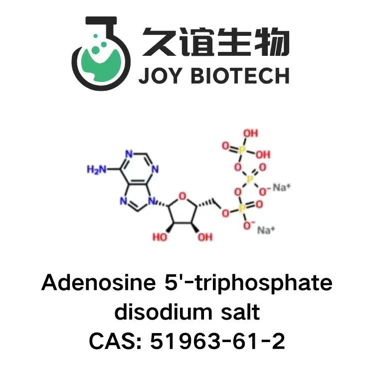 Adenosine 5'-triphosphate Disodium Salt CAS 51963-61-2 factory